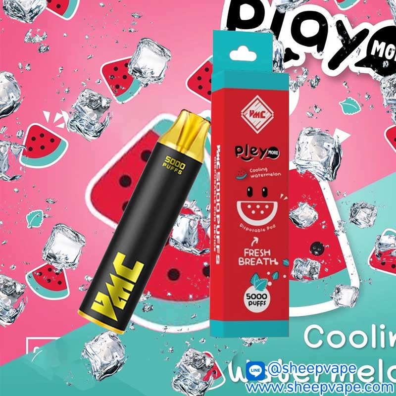 vmc 5000 play watermelon เพลแตงโม vmc 5000 play watermelon เพลแตงโม