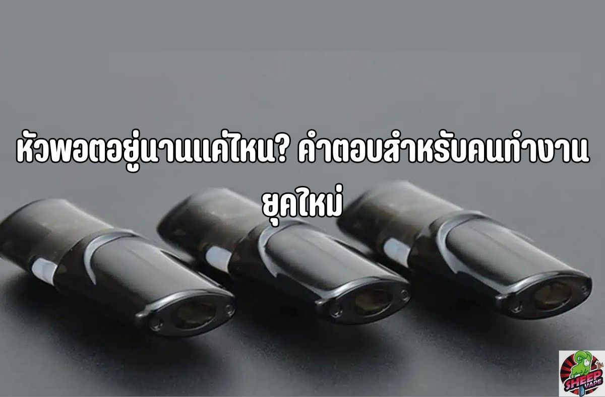 หัวพอตอยู่นานแค่ไหน-คำตอบสำหรับคนทำงานยุคใหม่
